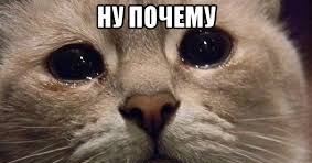 ???? Дорогие мои ???? благословенного Вторника Вам ❤ Видео ???? на сегодня????  https://youtu.be/flG-bWUrP5Q<br />Цитаты https://hoondok.ru/book/blessing-and-ideal-family-1/ideal-tvoreniya-i-lyubov<br />  напишите ваши идеи в Комментариях <br />и Передайте пожалуйста Сегодняшнее Видео послание для СЧАСТЬЯ Миллиардам ???? Ежедневные видео Вдохновения для срочного распространения поделитесь этой Жизненно ВАЖНОЙ информацией сегодня и<br />Отправьте пожалуйста донэйшин   https://www.sberbank.com/ru/person/dl/jc?linkname=JdP1NCSKV6XX7Y9q9<br />????Как Писатель Я Переписываю ужасную историю человечества в счастливое будущее на тысячи лет Вперёд<br /> С Прямым Вещанием Книги "После Строительства Царства"<br />Дорога Мира 2023<br />Глобальное Движение @Паломничества<br />Максимально Молимся за построение окончательного Мира во всём Мире к 2027году сегодня в Храмах, на Местах и Онлайн #Мир2027<br />Поднимитесь и приглашайте друзей сейчас к жизненно важному международному паломничеству Глобальный Тур Второго Пришествия с целью построения окончательного мира во всем мире к 2027 году поддержите мой марафон миллиард+ счастливых подписчиков в этом году,<br />в любимых сетях: https://ivacademy.net/en/donate<br />https://instagram.com/consultatia<br />https://Twitter.com/cirpalanicolae<br />https://FACEBOOK.com/nicolaecirpala<br />https://VK.com/prolyubovi<br />https://OK.ru/batiuscatel<br /> https://Youtube.com/c/HAPPYTVNEWS<br />https://gofundme.com/f/want-global-peace-by-2027<br />Телеграм https://t.me/palomnocestva<br />или https://Linkedin.com/in/nicolaecirpala<br />Звоните для презентации, КОНСУЛЬТАЦИИ, трэйнингов или партнёрства watsapp <br />Ваш пророк Николай Кырпалэ +79811308385<br />#Паломничества2023 #ДорогаМира2023 #Паломничества @Паломничества @Семейный<br />Онлайн или вживую участвуйте,  изучайте Бога<br />делайте пожертвования, делайте условия посвящения, Посты, Молитвы, Поклоны, проекты и сообщества добра для #Мир2027<br /> GPBNet #ПосланиеМиллиардам @СЧАСТЬЕ-ТВ<br />ВАЖНО В память Даника каждый год проводится конкурс рисунков за #Мир2027  #КартиныМира, приглашаем вас сделать донэйшин в фонд Даника поддержать его https://www.sberbank.com/ru/person/dl/jc?linkname=JdP1NCSKV6XX7Y9q9<br /><br />Для сотрудничества звоните  +79811308385 Важно ПОДЕЛИТЕСЬ пожалуйста этой информацией дать возможность всем 8М+ человек участвовать и достроить мир вовсе мире до 2027года