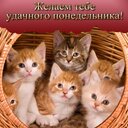 Здравствуйте хорошего дня и отличного настроения слова вдохновения на сегодня @Паломничества - Рождение свыше невозможно, если родители являются потомками падших Адама и Евы; единственный источник рождения свыше — кровь  и плоть безгрешных родителей. Лишь этот путь вернет вас к Богу. Вы должны искоренить  первородный грех, инициаторами которого стали Адам и Ева. То есть вам необходимо повторно родиться, чтобы оборвалась всякая связь с первородным грехом. Не выполнив это условие, вы не вернетесь к Богу.<br /><br />* * *<br /><br />С какой целью Бог стремится даровать нам спасение? Человек, в сфере грехопадения не может спастись самостоятельно, как бы он ни старался. Поэтому Бог послал на землю Истинных Родителей, более совершенных, чем Адам и Ева. Человечество должно родиться повторно от этих Родителей. Так Бог навечно отделит человечество от сатаны и, оградив людей от сатанинских обвинений, станет единоличным владыкой над ними и  их жизнью. Люди, несущие в себе первородный грех, не избавятся от греха, пока все человечество не родится повторно.<br /><br />* * *<br /><br />Когда Никодим спросил Иисуса, как можно спастись, Иисус ответил, что для этого необходимо родиться свыше. Значит, чтобы обрести спасение люди, рожденные от сатаны, должны родиться повторно, от Святого Божьего Духа. То есть, необходимо уничтожить все, что до сих пор связывало нас с сатаной, и восстановить отношения с Богом.<br /><br />* * *<br /><br />На вопрос Никодима, одного из иудейских начальников: "Что я должен сделать, чтобы войти в Царство Небесное?", Иисус ответил : "Если кто не родится свыше, не может увидеть Царствия Божия" (Иоан. 3:3). "Родиться свыше" значит сбросить оковы зла и войти в Царство Небесное.<br /><br />* * *<br /><br />Рождение свыше подразумевает преобразования в душе человека.<br /><br />* * *<br /><br />Сейчас христиане верят, что Господь Второго пришествия вернется на облаках. Они считают, что даже невежественному человеку достаточно одной веры, чтобы спастись. При таком образе мышления вера не может быть истинной. Если спасение было бы таким легко достижимым, отпала бы необходимость в Церкви Объединения.<br /><br />* * *<br /><br />Благодаря Божьему провидению среди людей была утверждена вера в возможность восстановить себя до положения детей Бога, но и в этом случае им необходимо привить к себе свежие побеги.<br /><br />* * *<br /><br />Если Истинные Родители — это истинные масличные деревья, то вы все — дикие деревья, к которым нужно привить истинные побеги. Только когда на дереве, к которому был привит истинный побег, появятся новые ветки, в нем начнутся нормальные физиологические процессы.<br /><br />Во что превратилось человечество, утратившее символ веры и любви? Его линия крови полностью изменилась, и ее необходимо вернуть в изначальное состояние. Поэтому, на вопрос Никодима, как ему войти в Царство Небесное, Иисус ответил: “Если кто не родится свыше, не может увидеть Царствия Божия” (Иоан. 3:3). Этими словами Иисус раскрывает реальную суть нашего положения.<br /><br />* * *<br /><br />Чтобы привить истинное масличное дерево к дикому, садовник срезает не только ветки, он срубает дерево целиком, оставляя только корень, а потом прививает к нему новый росток. Значит, традиционные церкви, следуя за Господом Второго пришествия, должны изменить саму систему своей организации, отказаться от застарелых концепций и устроить все по-новому. Плоды их жизни в вере оказались плодами дикого масличного древа. Чтобы плоды  были истинными, необходимо срубить главный ствол, а на место сруба привить новый росток. Если же сделать это невозможно, старое дерево выкорчевывают и сжигают, чтобы семена от него, разлетевшись по саду, не дали многочисленных всходов. Дикие деревья срезают, чтобы привить к ним побеги истинных масличных деревьев.<br /><br />Проблема в том, что по виду ростки ложного и истинного деревьев не отличаются друг от друга, и в результате возникают споры, который из них истинный. Во время Второго пришествия появится множество антихристов, следовательно, в системе ценностей и в мировоззрении людей, стремящихся к истине, может возникнуть хаос. Поэтому Иисус сказал: “Смотрите, бодрствуйте, молитесь” (Марк. 13:33).<br /><br />В конечном итоге ложные деревья, срубленные и привитые ростками от новых деревьев, разрастутся, и возникнет сад из истинных масличных деревьев.<br /><br />Слова преподобного Муна о том, что он осуществит эту задачу, вызывают везде бурную реакцию. Люди страшатся боли, которую они могут испытать в процессе прививки, и начинают волноваться, не является ли садовник шарлатаном.<br /><br />Весна провиденциальной истории уже наступила, и вместе с ней начался процесс прививки диких масличных деревьев.<br /><br />* * *<br /><br />Чтобы повторно родиться свыше, вы должны превзойти Адама и Еву. Только так вы завершите фундаментальное восстановление. Родиться свыше должен как отдельный человек, так и семья, народ, страна и мир. Современные христиане не понимают этого.- пожалуйста поделитесь этими цитатами мессии второго пришествия сегодня спасибо @Паломничества