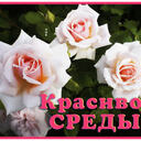 Дорогие мои, Идеального Вам дня ❤ напишите пожалуйста ваши Идеи в Комментариях к моему новому Видео  <br />https://youtube.com/shorts/OdHIVu6xHA8?feature=share ????<br />Шоссе Мира 2022 - <br />Глобальное Движение @Паломничества<br /><br />Помолились за построение окончательного Мира во всём Мире к 2027году сегодня в Храме, на Местах и Онлайн #Мир2027<br /><br />Срочно ПРИСОЕДИНЯЙТЕСЬ и вы, и приглашайте друзей сейчас к жизненно важному международному паломничеству<br /><br />Глобальный Тур Второго Пришествия с целью построения окончательного мира во всем мире к 2027 году<br /><br />Присоединяйтесь и поддержите мой марафон миллиард+ счастливых подписчиков, как писатель-активист последние 25 года я работаю ежедневно, объединяя людей и организации для завершения строительства Мира во всём мире до 2027 года. Присоединяйтесь и получите Благословение для 7B+ людей, которые присоединятся. ☛ Давайте Станем Лучшими Друзьями, присоединяйтесь сейчас и зовите друзей: Скачайте мой книги https://ivacademy.net/ru/market/books<br /> и присоединяйтесь в любимых сетях:<br />https://instagram.com/consultatia<br />https://twitter.com/cirpalanicolae<br />https://FACEBOOK.com/nicolaecirpala<br />https://VK.com/prolyubovi<br />https://OK.ru/batiuscatel<br />https://youtube.com/c/HAPPYTVNEWS<br />Youtube https://www.youtube.com/channel/UCUisgp9ih0Z7kMIl9y9mvAQ<br />www.linkedin.com/in/nicolaecirpala<br /><br />#Паломничества2022 #ШоссеМира2022 #Паломничества @Паломничества<br /><br />Онлайн или вживую, участвуйте, делайте пожертвования, делайте условия посвящения, Посты, Молитвы, Поклоны и для презентации, консультации или партнёрства watsapp Николай Кырпалэ +79811308385 GPBNet #ПосланиеМиллиардам www.ivacademy.net/ru<br />Очень ВАЖНО - Обязательно Поделитесь этим откровением для счастья сегодня хорошо?❤