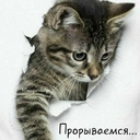 Здравствуйте хорошего дня и отличного настроения слова вдохновения на сегодня @Паломничества - Термин “Благословение” с позиций Божьей воли возник не в Церкви Объединения. Благословение существовало всегда, пока Бог осуществлял Свое провидение восстановления. Мы знаем, что Бог надеялся увидеть Благословение воплощенным в жизнь.<br /><br />Создавая Адама и Еву в Эдемском саду и давая им идеал Благословения, Бог надеялся воплотиться в их жизни. Но до сих пор никто не мог осуществить Его мечту. Страдая из-за этого, Бог жаждал увидеть день осуществления Своей сокровеннейшей надежды — претворения Благословения в жизнь.<br /><br />По прошествии четырех тысяч лет истории Бог послал Иисуса, чтобы через него окончательно осуществить Свою волю, то есть дать людям Благословение. Но мы знаем, что, даже будучи подготовлен Богом, Иисус не смог получить Благословение и был распят. В ходе тысячелетней христианской истории многие мученики пролили свою кровь, но мы знаем, что они так и не смогли осуществить надежду Бога.<br /><br />Слово “Благословение” возникло не в Церкви Объединения. Со времен грехопадения и вплоть до настоящего момента, в течение всей истории Бог в глубине души хранил надежду и стремился к ее осуществлению. Мы должны знать это.<br /><br />Бог до настоящего момента шел путем страданий, ожидая дня, когда Его надежда осуществится. Поэтому день Благословения — это день освобождения для всей истории, время осуществления надежды Бога. Задумываясь над этим, вы должны осознать, насколько бесценен момент Благословения.<br /><br />* * *<br /><br />Благословение — это цель истории и ключ к освобождению всего человечества.<br /><br />* * *<br /><br />Бог прошел трагический и мучительный путь, полный страданий и боли, преодолев множество препятствий. Это значит, что день освобождения несет для Него больше счастья, чем день Благословения Адама и Евы, если бы они удостоились его в Эдемском саду. Чтобы приблизить этот день, Бог был вынужден послать на смерть тысячи святых и мудрецов, и в течение 6 000 лет терпеливо нес бремя жертвы, чтобы взрастить сыновей и дочерей, будущих победителей. Задумываясь над Его положением, мы даже не можем представить себе, насколько бесценным, прекрасным и счастливым станет для Него этот день. День, когда появятся такие люди — это день восторга и праздника Небес и земли. Вы думаете, вам предстоит увидеть только пир Агнца? Необходимо провести также и церемонию освобождения. После грехопадения на мир обрушились обиды, боль, страдания и смерть. День, когда мир освободится от них — это день Благословения, день Святого Бракосочетания.<br /><br />* * *<br /><br />В Церкви Объединения понятие "Благословение" впервые возникло в 1960-х годах. Вместе с этим понятием я предложил вам новый образ жизни и не только потому, что возникла в этом необходимость в 60-х годах. Благословение — это наивысшее желание Бога осуществлявшего Свое провидение в ходе исторического процесса и расширяя сферу Своего влияния? Оно состоит в  том, чтобы создать отправную точку, то есть Благословение. Вы должны знать об этом.<br /><br />* * *<br /><br />Благословение — надежда Бога, надежда Иисуса и Святого Духа. Только после осуществления этой мечты начнется новая история. Благословение — это исполнение желаний. Поэтому благословленные семьи должны играть главную роль в выполнении желания Бога, Иисуса и Святого Духа.<br /><br />Не успев сделать это, Иисус вернется, чтобы завершить свою миссию. На Церкви Объединения лежит ответственность за исполнение задачи, которую не смог выполнить Иисус.<br /><br />* * *<br /><br />Как характеризуется наше время, когда осуществляется Благословение? Это наилучшее время для исполнения Божьей мечты. Прекратятся боль и страдания Бога, продолжавшиеся шесть тысяч лет. В это время исполнится  желание Иисуса, единородного Сына Бога, который, явившись на землю, прошел путь невероятных испытаний. Более того, сегодня, основываясь на семье Божьего сына, истинная любовь уже появилась в нашем мире. Настало время радости для всего творения, когда оно обретает истинную ценность и величие. Неизмеримо велика радость Бога в этот день! Не будет больше греха, и солнце ярким светом осветит Вселенную. В природе воцарится гармония, и животные будут танцевать в лучах зари. Сегодня мы приветствуем наступающий рассвет дня победы.<br /><br />* * *<br /><br />В момент Благословения мы можем рассчитаться за все страдания и боль, накопившимися в ходе истории вплоть до настоящего момента. Осуществляется долгожданная надежда Бога. Возникает отправная точка нового будущего.<br /><br />* * *<br /><br />Что является источником человеческих страданий? Он кроется в том, что, совершив грехопадение, наши предки лишились Благословения. Из-за этой исторической трагедии их потомки продолжают страдать до сих пор. На что же надеется человечество, глядя на Небеса? Люди ждут, когда наступит день Благословения. Это небывалое событие в истории произойдет в один миг.<br /><br />* * *<br /><br />Прежде чем сотворить Адама и Еву, Бог создал творение, но как центр всего сущего, они являли бы собой субстанциальное воплощение славы, и Бог хотел, чтобы день их Благословения, наполнился восторгом и радостью победы. Но из-за грехопадения Адама и Евы Божья воля не исполнилась. Теперь нашему поколению предстоит осуществить Благословение. Возвышая победную славу, каждый из нас, и муж, и жена, должны вознести хвалу Вселенной. Чтобы с радостью встретить самый счастливый в жизни день, мы должны осознать, ниспосланное нам щедрое Благословение Бога. Иисус умер, так и не получив Благословение. Анализируя прошлое, мы увидим, что в ходе провидения восстановления огромное число людей пожертвовало жизнью ради исполнения Божьей воли. Они искренне посвятили себя Богу. Чего они желали? Они желали получить Благословение во что бы то ни стало. Бесчисленные духи, населяющие духовный мир, не смогли получить Благословения, но они до сих пор мечтают об этом.<br /><br />В Библии мы найдем упоминание о короне — короне справедливости и короне любви. Это символ того, что, представ перед Богом в паре благословленными супругами, люди станут гражданами Божьей нации. То есть корона — это символ особых привилегий от Бога. Вы должны знать об этом. События, которые происходят сейчас в Церкви Объединения, не являются только вашим достоянием в ограниченном горизонтальном пространстве. И в прошлом, и в настоящем, и в будущем многочисленные духи из духовного мира будут стремиться к этому моменту. Здесь начинается исполнение их надежд. Знают ли об этом участники этого массового Благословения? Думая об этом, вы должны серьезно и критически отнестись к себе и принять новое решение.<br /><br />* * *<br /><br />С того дня, когда Адам и Ева совершили грехопадение, человечество пребывает в ожидании Благословения от Бога.<br /><br />* * *<br /><br />Семья должна быть воплощением надежды в историческом масштабе для ее членов и Бога. Это и есть Благословение.- пожалуйста поделитесь этими цитатами мессии второго пришествия сегодня спасибо большое @Паломничества