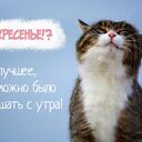 Дорогие мои, Идеального Вам дня ❤ напишите пожалуйста ваши Идеи в Комментариях к моему новому Видео  <br />https://youtube.com/shorts/Ho8xTnMEZQg?feature=share ????<br />Шоссе Мира 2022 - <br />Глобальное Движение @Паломничества<br /><br />Помолились за построение окончательного Мира во всём Мире к 2027году сегодня в Храме, на Местах и Онлайн #Мир2027<br /><br />Срочно ПРИСОЕДИНЯЙТЕСЬ и вы, и приглашайте друзей сейчас к жизненно важному международному паломничеству<br /><br />Глобальный Тур Второго Пришествия с целью построения окончательного мира во всем мире к 2027 году<br /><br />Присоединяйтесь и поддержите мой марафон миллиард+ счастливых подписчиков, как писатель-активист последние 25 года я работаю ежедневно, объединяя людей и организации для завершения строительства Мира во всём мире до 2027 года. Присоединяйтесь и получите Благословение для 7B+ людей, которые присоединятся. ☛ Давайте Станем Лучшими Друзьями, присоединяйтесь сейчас и зовите друзей: Скачайте мой книги https://ivacademy.net/ru/market/books<br /> и присоединяйтесь в любимых сетях:<br />https://instagram.com/consultatia<br />https://twitter.com/cirpalanicolae<br />https://FACEBOOK.com/nicolaecirpala<br />https://VK.com/prolyubovi<br />https://OK.ru/batiuscatel<br />https://youtube.com/c/HAPPYTVNEWS<br />Youtube https://www.youtube.com/channel/UCUisgp9ih0Z7kMIl9y9mvAQ<br />www.linkedin.com/in/nicolaecirpala<br /><br />#Паломничества2022 #ШоссеМира2022 #Паломничества @Паломничества<br /><br />Онлайн или вживую, участвуйте, делайте пожертвования, делайте условия посвящения, Посты, Молитвы, Поклоны и для презентации, консультации или партнёрства watsapp Николай Кырпалэ +79811308385 GPBNet #ПосланиеМиллиардам www.ivacademy.net/ru<br />Очень ВАЖНО - Обязательно Поделитесь этим откровением для счастья сегодня хорошо?❤<br /><br />https://youtube.com/shorts/Ho8xTnMEZQg?feature=share