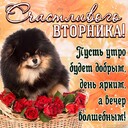Здравствуйте хорошего дня и отличного настроения слова вдохновения на сегодня @Паломничества - Какого единственного дня ждала история вплоть до настоящего момента? Дня Истинных Родителей. История ожидала провозглашения Дня Истинных Родителей на земле даже больше, чем Дня детей. Если бы этот день не настал, никто из вас не был бы вправе назвать Бога Отцом.<br /><br />Даже если вы называете Бога Отцом, вы еще не достигли эталона, в соответствии с которым вы получили бы право вершить суд. До сих пор вы называли Его так, хотя сами не отвечали критерию.<br /><br />Бог, Которого вы можете назвать Отцом, имеет право судить. Он — Отец вечного освобождения, Родитель освобождения. Зарождается новая страна, новый мир и новая Вселенная. Даже если такой мир будет окружен сатанинским миром, он все равно будет расширяться. Ему суждено расти.<br /><br />Вот о чем вам следует задуматься: для того чтобы встретить День детей, вы должны взять за основу 6 000 лет истории и, стоя на перепутье, определить для себя, по какому из путей вы пойдете. Вы одолеете этот путь, только если свяжете себя с Истинными Родителями и получите их Благословение. По этому пути нельзя пройти просто так, сначала вам надо исполнить условия искупления. До провозглашения Дня детей вы никак не были связаны с Истинными Родителями. Вы еще не были рождены как плоть от плоти Истинных Родителей.<br /><br />* * *<br /><br />Так называемый День детей был утвержден на всемирном и вселенском уровнях как день, представляющий многочисленные памятные даты, отмечаемые во всем мире. Люди обрели повторное рождение как истинные дети, почитающие Истинных Родителей перед лицом Бога. Таково значение этого дня.- пожалуйста поделитесь этими цитатами мессии второго пришествия сегодня спасибо большое @Паломничества