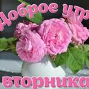 Доброе утро хорошего дня и отличного настроения слова вдохновения на сегодня @Паломничества -  Качество, необходимое для получения Благословения<br />Мы стоим на позициях, отличных от мирских. Я учил вас, как противостоять нападкам сатаны и как добиться победы. На каком уровне вы находитесь? Проблема в том, что вы не смогли достичь даже завершающего этапа стадии роста. Как же я могу дать вам Благословение?<br /><br />* * *<br /><br />Вы собрались здесь, чтобы получить Благословение. А что такое Благословение? 6 000 лет, вплоть до настоящего времени, религия существовала для того, чтобы найти одного-единственного мужчину. Поэтому, если бы вы, женщины, не вступили в Церковь Объединения, вы не могли бы получить Благословение от Бога. Сколько бы усилий вы ни прилагали, тысячи или десятки тысяч лет, вы все равно не смогли бы получить Благословение, исходящее от Бога. Если бы не появилась Церковь Объединения, не было бы Благословения. Без меня его невозможно было бы даже вообразить.<br /><br />Что такое грехопадение? Это эгоистичный подход к любви. Грехопадение свершилось по вине сатаны. На новых небесах и земле появляются новые супруги, соединенные Божьей любовью, и поднимают стяг новой истории. Это происходит впервые в нашу эпоху.<br /><br />В таком случае, обладаете ли вы качествами, необходимыми для участия в Благословении? Нет. В вашу пользу говорит только то, что вы узнали Истинных Родителей. То, что вы встретили Истинных Родителей, — ваше единственное достоинство.<br /><br />Подумайте о своих предках, которые родились и умерли в ходе провидения восстановления, не дожив до наших дней. Являетесь ли вы замечательными личностями, достойными встретиться с ними лицом к лицу? Нет. Однако они не знали Родителей. Даже Иисусу, когда он пришел на землю, не удалось поведать людям о том, каким критериям соответствуют Истинные Родители; прежде чем он покинул этот мир. И в древние времена никто из предков, ни Авраам, ни Моисей, ни кто-либо другой не знали Истинных Родителей.<br /><br />Сегодня только одно отличает членов Церкви Объединения от этих людей: мы знаем Истинных Родителей. Поэтому ваши убеждения должны быть достаточно сильны, чтобы вы могли сказать: “Мы сыновья и дочери Истинных Родителей. Никто в мире не станет отрицать этого, даже Бог. Это абсолютная истина”.<br /><br />* * *<br /><br />Вы знаете меня? Знаете или нет? Откуда и что вы обо мне знаете? Вам знакомо мое лицо. Вы знаете лишь то, что я учу людей известному вам Принципу. Тот Принцип, который вы знаете, относится только ко времени до пришествия Иисуса, а не к моему времени. Вам известна история моей жизни? (Нет.) А если так, то зачем вы пришли сюда? Стали ли вы почтительными детьми? (Не стали.) Имеют ли право сидеть здесь люди, которые не смогли стать почтительными детьми? Стали ли вы верными последователями? (Нет.) И такие люди пришли сюда и сидят здесь?<br /><br />Знает ли обо мне Бог? (Знает.) А знают ли обо мне предки в духовном мире или нет? (Знают.) Вы должны быть способны помогать мне больше чем Бог и предки. Те, кто сомневается и судачит обо мне, — пустые и никуда не годные люди. Ни одна из таких никчемных личностей не достойна находиться здесь.<br /><br />Я боролся сорок лет, после чего в 1960 году состоялось мое Святое Бракосочетание. Но перед этим я неоднократно находился в заключении, меня избивали несчетное количество раз, меня рвало кровью десятки раз, но я сражался. Довелось ли вам испытать презрение или жестокие побои, приходилось ли вам проливать свою кровь? Подвергались ли вы подобным гонениям? Я отдал всю свою жизнь и пересек границы множества стран, создавая существующее основание. И теперь я должен передать все это людям, которые напоминают толпу нищих...<br /><br />Вы никак не достойны получить Благословение. Даже если черти поотрывают вам головы и утопят их в Тихом океане, я все равно не смогу вас признать. Но поскольку другого пути нет, я даю Благословение.<br /><br />* * *<br /><br />Вы готовы получить Благословение? (Да, готовы.) Действительно готовы? (Да.) Что вы имеете в виду, когда говорите, что готовы? До сих пор я собирал глупых людей, учил их, наставлял на путь Божьей воли и давал им Благословение. Как же благодарны вы должны быть за подобное Благословение!<br /><br />Возможно здесь есть люди, которые готовы выйти вперед и поклясться в том, что они разобьют сатану и в последние дни преподнесут Небесам славную победу. Однако сюда пришли люди без всякой подготовки, можно сказать, нагишом. Поэтому вы должны внимательно рассмотреть в свете истории свое отношение к Благословению. Вам необходимо еще раз проверить и проанализировать свои недостатки. Вы должны знать, как много их было у вас до сих пор. До настоящего времени ваши действия имели множество побочных эффектов. Они непростительны, но особой милостью я даровал вам прощение.<br /><br />* * *<br /><br />Родители не могут проклясть детей, когда тем грозит смертельная опасность. Во имя спасения жизни своих детей, они пойдут вперед, даже если им понадобится взвалить на свои плечи крест. Таково Сердце родителей. Поэтому я должен был целиком взять на себя крест и идти вперед, чтобы спасти вас, моих детей. Однако если вы воспринимаете все это как традицию, то настанет час, когда вы будете уничтожены и останетесь ни с чем. Прежде чем родители откроют перед вами дверь, ведущую к любви, вы должны оглянуться назад. Вам следует подумать о том, как обрести облик, в котором вам было бы не стыдно предстать перед лицом Неба и земли. - пожалуйста поделитесь этими цитатами мессии второго пришествия сегодня спасибо большое @Паломничества