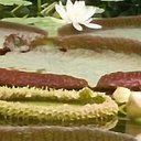 My dear Thank you very much <br />Good night my ???? Family 20.07.2023 join with your friends, families, communities, leaders and Presidents - VITAL Daily Marathon for 8B+ people to finish building Ultimate Global Peace by 2027 -  Today's Meeting Video https://youtu.be/yK0BPkOsnp4<br />Podcast https://podcasters.spotify.com/pod/show/nicolae-cirpala/episodes/Return-e274pai<br /><br />Subscribe & Happy Join our DAILY meetings just Register: https://forms.gle/WdotQA8p4soTFMM78<br />& Let's Unite daily efforts globally for #Peace2027<br />and #PrayWithNick for:<br />- Ultimate Global Peace by 2027<br />- All countries to be restored to God by 2027<br />- For Immediate Peace in Ukraine, Congo, Ethiopia, Nigeria, Yemen, Syria, Israel, Myanmar, Palestine, Sudan, Algeria and all hot spots globally<br />- True Parents, True children, True Family and True Mother's health<br />- Healing Oceans and all Environment by 2027<br />- Humankind to plant and raise 1 billion+ trees globally by 2027<br />- South and North Korea peaceful reunification this year<br />- Global economy that benefits all nations and people to be set up worldwide by 2027<br />- All countries to stop weapons production and distribution and begin to invest in peace and in the well-being of humanity by 2027<br />- All families globally to receive God's Marriage Blessing by 2027<br />- All religions by 2027 to start to work together in unity to illuminate humankind about God our all humans Heavenly Parent and His tireless work of humans salvation behind the history, receive marriage blessing from Messiah 2nd coming and pass to all humanity<br />- Peace Road to be built globally by 2027<br />- till 2027 humankind to finish all wars and sanctions globally forever<br />- Reform health care systems for good, globally, by 2027<br />- Total Liberation of Our Heavenly Parent and ancestors in spiritual world<br />- Science and religion unity by 2027<br />- Join now new 40 days prayer, devotions and blessing condition 18.07-26.08.2023 for success of vital marriage blessing events in Europe, Africa, Asia, Americas and all True Parents peacebuilding activities globally;<br />With today's prayers effort pray for Peace & Schools, Universities, Education and Academia Networking for #Peace2027 @Edu #GPBNet<br />Aju - Amen<br />Quotes:  The returning Lord stands in the position of the True Parent of humankind and recovers the position of one who embodies God’s true love. When he fulfills the position of the Parents of Heaven and Earth, this will bring God’s providence of salvation for all humankind to completion. The Messiah begins by forming a family that attends God more gloriously and with greater filial piety than the family that Adam and Eve would have formed had they not fallen. The Messiah is the head of the family that represents the core of the ideal for a new humanity that begins by linking to the lineage of true love through the life of true love. The Messiah connects blessed families to the kingdom of heaven on earth and in heaven so as to expand and complete the kingdom on earth and in heaven.<br /><br />SEND YOUR PRAYERS REQUESTS and<br />Join in Your Favorite Networks:<br />https://instagram.com/HAPPY_TV_NEWS<br />https://Twitter.com/cirpalanicolae<br />https://FACEBOOK.com/nicolaecirpala<br />https://Youtube.com/c/HAPPYTVNEWS<br />https://t.me/GPBNet<br />or https://Linkedin.com/in/nicolaecirpala<br />For Cooperation, Consultation or Presentations and more contact<br />Prophet Nicolae Cirpala +79811308385 Tel WhatsApp<br />In the memory of Daniil, year around Famous drawing Contest for #Peace2027 is held, and as Daniil has been drawing #PeacePictures in last days, we invite you to donate today to the Daniil Foundation to support him https://ivacademy.net/en/donate Important<br /><br />Please SHARE this information wide to enable all 8B+ people to participate and complete ultimate global peace building by 2027 ok?