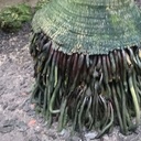 Thank you very much - Good night my Global????Family 22.07.2023 join too with your friends, families, communities, leaders and Presidents - VITAL Daily Marathon for 8B+ people to finish building Ultimate Global Peace by 2027 -  Enjoy Today's Meeting Video https://youtu.be/mniXRzjLQH8<br />Podcast https://podcasters.spotify.com/pod/show/nicolae-cirpala/episodes/Unite-e277aq6<br /><br />Subscribe, Register: https://forms.gle/WdotQA8p4soTFMM78  Donate https://ivacademy.net/en/donate<br />& Let's Unite efforts daily 19.00 your local time in #GlobalPrayersChain for #Peace2027<br />and #PrayWithNick for:<br />- Ultimate Global Peace by 2027<br />- All countries to be restored to God by 2027<br />- For Immediate Peace in Ukraine, Congo, Ethiopia, Nigeria, Yemen, Syria, Israel, Myanmar, Palestine, Sudan, Algeria and all hot spots globally<br />- True Parents, True children, True Family and True Mother's health<br />- Healing Oceans and all Environment by 2027<br />- Humankind to plant and raise 1 billion+ trees globally by 2027<br />- South and North Korea peaceful reunification this year<br />- Global economy that benefits all nations and people to be set up worldwide by 2027<br />- All countries to stop weapons production and distribution and begin to invest in peace and in the well-being of humanity by 2027<br />- All families globally to receive God's Marriage Blessing by 2027<br />- All religions by 2027 to start to work together in unity to illuminate humankind about God our all humans Heavenly Parent and His tireless work of humans salvation behind the history, receive marriage blessing from Messiah 2nd coming and pass to all humanity<br />- Peace Road to be built globally by 2027<br />- till 2027 humankind to finish all wars and sanctions globally forever<br />- Reform health care systems for good, globally, by 2027<br />- Total Liberation of Our Heavenly Parent and ancestors in spiritual world<br />- Science and religion unity by 2027<br />- Join now new 40 days prayer, devotions and blessing condition 18.07-26.08.2023 for success of vital marriage blessing events in Europe, Africa, Asia, Americas and all True Parents peacebuilding activities globally;<br />With today's prayers effort pray for Peace & Social Service, Charities, Health, Wellness, Help Children, Families and Global Village Networking for #Peace2027 @Fam #GPBNet<br />Aju - Amen<br />Quotes:  <br /><br />True lineage and true love lead to the ideal<br /><br />The ideal world is not created automatically. Nobody can build it by just wishing it into existence. It is impossible to attain unless we, the offspring of the Fall of the first human ancestors, receive a new lineage through the marriage Blessing and practice a life of true love.<br /><br />What is a life of true love? In essence, it is living for the sake of others. It is living for the sake of others before you even think about the other doing something for you. It is a life of giving to others and dismissing the thought that you ever gave. It is not giving in hopes of receiving something in return. It is a life where you give and give, so much that you will never regret that you didn’t give more. Even as you give, you bow your head in humility. Thus, Jesus said, “Greater love has no one than this, that he lay down his life for his friends.” (John 15:13) He also said, “For whoever exalts himself will be humbled, and whoever humbles himself will be exalted.” (Matt. 23:12) Even our almighty Creator, God, does not engage in creation and destruction at whim. He abides by the principles of creation that He Himself established.<br /><br />For this reason I have been conducting the marriage Blessing providence throughout the past several decades. Due to the Fall of the first ancestors, humankind inherited false life, false love and false lineage, and had no choice but to live a false life. Therefore my wife and I began our God-given mission as the True Parents. Throughout our lives we have walked a lonely path to carry out this heavenly decree to eliminate Satan, the devil, through the marriage Blessing providence and, as the True Parents, to bequeath true life, true love, and the true lineage to humanity.<br /><br />We discovered that God by Himself could not reverse the false blood lineage, because the false parents planted it. Having fulfilled all the necessary indemnity conditions, my wife and I stand victoriously as the True Parents. We have been expanding the true lineage by separating humanity from the lineage of the false olive tree and engrafting them to the true olive tree. A false olive tree will remain a false olive tree, even if a thousand years pass; the lineage can change only when it is engrafted to the true olive tree.<br /><br />Ladies and gentlemen, the bright age of Heaven is dawning. Please receive my message with hope. The history of the marriage Blessing began with just three couples in 1960 and has now reached 400 million couples around the world. Furthermore, there are more than 120 billion blessed couples living in the spirit world. The field of the true olive tree has now overwhelmed the field of the wild olive trees. All these blessed families are united in living for the sake of others. The life of these true olive trees, embodying the true lineage, is now quickly spreading throughout the entire world. They will realize God’s homeland and peace kingdom. It will be a nation full of joy and happiness, a global nation of freedom and equality without walls or national borders.<br /><br />SEND YOUR PRAYERS REQUESTS and<br />Join in Your Favorite Networks:<br />https://instagram.com/HAPPY_TV_NEWS<br />https://Twitter.com/cirpalanicolae<br />https://FACEBOOK.com/nicolaecirpala<br />https://Youtube.com/c/HAPPYTVNEWS<br />https://t.me/GPBNet<br />or https://Linkedin.com/in/nicolaecirpala<br />For Cooperation, Consultation or Presentations and more contact<br />Prophet Nicolae Cirpala +79811308385 Tel WhatsApp<br />In the memory of Daniil, year around Famous drawing Contest for #Peace2027 is held, and as Daniil has been drawing #PeacePictures in last days, we invite you to donate today to the Daniil Foundation to support him https://ivacademy.net/en/donate Important<br /><br />Please SHARE this information wide to enable all 8B+ people to participate and complete ultimate global peace building by 2027 ok?