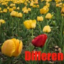 Enjoy :) and Practice motivational quotes for Happiness #MessageToBillions words of love to empower with positive energetic vibe for prosperity reading World Scriptures Beneath the Differences Are Universal Elements<br /><br />- Quotes  Video  https://www.youtube.com/watch?v=XKP3ua_TyL4<br />- Audio  Quotes  https://anchor.fm/nicolae-cirpala/episodes/Differences-Quotes-e10plnt<br />Join Billion Happy Life subscribers marathon and get True Hapiness Like Comment:<br />To get more blessings make a donation now just download our books for life at https://ivacademy.net/en/market/books<br />and Share this very IMPORTANT marathon 7 times+ for Abundant Happiness :)<br /><br />Join Live Daily salvation and blessing meetings just contact us<br /><br />-Very important – Want to receive salvation and blessing? Become a member of my global community and join Billion Happy Life subscribers marathon. Been a writer-global activist for 24 years I’m working daily #ForPeace Empower People and Organizations uniting to finalize Building ultimate World of Peace by 2027 - Heavenly Kingdom - Heavenly Parent’s Holly Community at Global Peace Building Network I’m Looking for fruitful Cooperation and<br /><br />☛ let's become Best Friends,<br /><br />join now global peacemakers team and invite your friends,<br /><br />post comments to my Vital discussions in:<br /><br />Instagram www.instagram.com/MessageToBillions<br /><br />Twitter www.twitter.com/ivacademynet<br /><br />and Youtube www.youtube.com/c/MessageToBillions<br /><br />Download my books  ivacademy . net/en/market/books<br />Join my Billion Happy Life subscribers marathon and get :) Like Comment and Share 4 times for True Happiness, share this #MessageToBillions<br />and<br /><br />#ForPeace Cooperation, to Donate, for consulting, to invite me as Guest Speaker at your online or offline events, to Volunteer, to receive marriage blessing call me +7 981 130 83 85 phone whatsapp