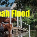 Hi Enjoy :) like, share and Practice motivational Mass Readings Quotes for True Happiness #MessageToBillions words of love to empower with positive energetic vibe for prosperity reading World Scriptures Noah and the Flood<br /><br />- Quotes  Video https://www.youtube.com/watch?v=v9lu6OnNouc<br /><br />- Podcast Audio Quotes https://anchor.fm/nicolae-cirpala/episodes/Noah-Quotes-e128f86<br />Join Billion Happy Life subscribers marathon and get True Hapiness Like Comment:<br />To get more blessings make a donation now just download our books for life at https://ivacademy.net/en/market/books<br />and Share this very IMPORTANT marathon 7 times+ for Abundant Happiness :)<br /><br />Join Live Daily salvation and blessing meetings just contact us<br /><br />-Very important – Want to receive salvation and blessing? Become a member of my global community and join Billion Happy Life subscribers marathon. Been a writer-global activist for 24 years I’m working daily #ForPeace Empower People and Organizations uniting to finalize Building ultimate World of Peace by 2027 - Heavenly Kingdom - Heavenly Parent’s Holly Community at Global Peace Building Network I’m Looking for fruitful Cooperation and<br /><br />☛ let's become Best Friends,<br /><br />join now global peacemakers team and invite your friends,<br /><br />post comments to my Vital discussions in:<br /><br />Instagram www.instagram.com/MessageToBillions<br /><br />Twitter www.twitter.com/ivacademynet<br /><br />and Youtube www.youtube.com/c/MessageToBillions<br /><br />Download my books  ivacademy . net/en/market/books<br />Join my Billion Happy Life subscribers marathon and get :) Like Comment and Share 4 times for True Happiness, share this #MessageToBillions<br />and<br /><br />#ForPeace Cooperation, to Donate, for consulting, to invite me as Guest Speaker at your online or offline events, to Volunteer, to receive marriage blessing call me +7 981 130 83 85 phone whatsapp