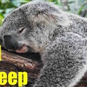 Hi Enjoy :) like, share and Practice motivational Mass Readings Quotes for True Happiness #MessageToBillions words of love to empower with positive energetic vibe for prosperity reading World Scriptures Abraham’s Mistake in Offering the Animals<br /><br />- Quotes  Video https://www.youtube.com/watch?v=q2qjQtWaW-w<br /><br />- Podcast Audio Quotes  https://anchor.fm/nicolae-cirpala/episodes/Sleep-Quotes-e12eiv5<br />Join Billion Happy Life subscribers marathon and get True Hapiness Like Comment:<br />To get more blessings make a donation now just download our books for life at https://ivacademy.net/en/market/books<br />and Share this very IMPORTANT marathon 7 times+ for Abundant Happiness :)<br /><br />Join Live Daily salvation and blessing meetings just contact us<br /><br />-Very important – Want to receive salvation and blessing? Become a member of my global community and join Billion Happy Life subscribers marathon. Been a writer-global activist for 24 years I’m working daily #ForPeace Empower People and Organizations uniting to finalize Building ultimate World of Peace by 2027 - Heavenly Kingdom - Heavenly Parent’s Holly Community at Global Peace Building Network I’m Looking for fruitful Cooperation and<br /><br />☛ let's become Best Friends,<br /><br />join now global peacemakers team and invite your friends,<br /><br />post comments to my Vital discussions in:<br /><br />Instagram www.instagram.com/MessageToBillions<br /><br />Twitter www.twitter.com/ivacademynet<br /><br />and Youtube www.youtube.com/c/MessageToBillions<br /><br />Download my books  ivacademy . net/en/market/books<br />Join my Billion Happy Life subscribers marathon and get :) Like Comment and Share 4 times for True Happiness, share this #MessageToBillions<br />and<br /><br />#ForPeace Cooperation, to Donate, for consulting, to invite me as Guest Speaker at your online or offline events, to Volunteer, to receive marriage blessing call me +7 981 130 83 85 phone whatsapp