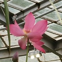 Good night my Global Family 12.08.2023 Happy join with your friends, families, communities, leaders and Presidents????VITAL Daily Marathon with us to rewrite awful history into bright future on thousands years ahead for 8B+ people thus finishing building Ultimate Global Peace by 2027 -  Enjoy Today's Meeting https://youtu.be/-ubWFkrCGos<br />Podcast https://podcasters.spotify.com/pod/show/nicolae-cirpala/episodes/Unprecedented-e280kv3<br /><br />Subscribe, Register https://forms.gle/shCFZg2euHjGD8jW8 Donate https://ivacademy.net/en/donate<br /><br />Daily Join & ENJOY most Powerful United Global efforts at 19.00 your local time in #GlobalPrayersChain for #Peace2027 and #PrayWithNick for:<br /><br /> - Ultimate Global Peace by 2027<br /><br />- All countries to be restored to God by 2027<br /><br />- For Immediate Peace in Ukraine, Congo, Ethiopia, Nigeria, Yemen, Syria, Israel, Myanmar, Palestine, Sudan, Algeria and all hot spots globally<br /><br /> - True Parents, True children, True Family and True Mother's health - Healing Oceans and all Environment by 2027 - Humankind to plant and raise 1 billion+ trees globally by 2027<br /><br />- South and North Korea peaceful reunification this year - Global economy that benefits all nations and people to be set up worldwide by 2027<br /><br />- All countries to stop weapons production and distribution and begin to invest in peace and in the well-being of humanity by 2027<br /><br />- All families globally to receive God's Marriage Blessing by 2027<br /><br /> - All religions by 2027 to start to work together in unity to illuminate humankind about God our all humans Heavenly Parent and His tireless work of humans salvation behind the history, receive marriage blessing from Messiah 2nd coming and pass to all humanity<br /><br />- Peace Road to be built globally by 2027<br /><br />- till 2027 humankind to finish all wars and sanctions globally forever - Reform health care systems for good, globally, by 2027<br /><br />- Total Liberation of Our Heavenly Parent and ancestors in spiritual world<br /><br /> - Science and religion unity by 2027 - Join now new 40 days prayer, devotions and blessing condition 18.07-26.08.2023 for success of vital marriage blessing events in Europe, Africa, Asia, Americas and all True Parents peacebuilding activities globally; With today's prayers effort pray for Peace &Social Service, Charities, Health, Wellness, Help Children, Families and Global Village Networking for #Peace2027 @Fam #GPBNet<br /><br />Amen – Aju<br /><br />Quotes:  A life for the liberation of God and humankind Respected guests, it is now more than eighty years since I began my search for such incredible secrets of Heaven and began to walk the path to lead humanity. It has been a lonely and pitiful path, as I pushed my way through suffering and overcame unprecedented difficulties that no one will ever repeat in the future. That path taught me the reality of the omnipresent God.<br /><br />All of the six billon people in the world are blind. Although they appear normal, they cannot see even an inch in front of themselves. Despite their blindness, philosophers and theologians have pretended as if they could elucidate Heaven’s truth, and this has brought grief to God throughout history. The providence of restoration, which sought people who would live for the sake of God and have compassion for God, never even got off the ground.<br /><br />I cannot count the days I spent in tears and lamentation after I came to know the world of God’s inner heart. Who could even dare to imagine God as being grief-stricken? He created the first human ancestors as His children and tried to place them in the position of His eternal object partners of true love. However, they committed the Fall. Since then, He has been carrying out His providence of restoration for thousands, perhaps tens of thousands, of years. After the Fall God was sorrowful and mortified. Anger exploded within Him. His heart overflowed with grief as He walked this course.<br /><br />God is the Father and glorious King, but the enemy Satan stole His throne and usurped His position as Parent. Although He is clearly alive and carrying out His providence, people say “He is dead,” and mock and mistreat Him. Still, He has persevered on the path with patient endurance, waiting for the day when people themselves would understand the truth. Please understand that God conducts His providence on a foundation of true love, which involves living for the sake of others, continually for eternity.<br /><br />For that reason, He did not just annihilate the universe and begin again after witnessing His children descend into the bottomless pit that they dug as a result of the Fall. With the power of His omniscience and omnipotence, God could have judged the world and Satan at once, smashing them to pieces. Though He has this power, He has chosen until now to absorb all the contempt and accusation. He has placed Himself in a prison-like environment, because He is our Father.<br /><br />SEND YOUR PRAYERS REQUESTS and Join in Your Favorite Networks: https://instagram.com/HAPPY_TV_NEWS https://Twitter.com/cirpalanicolae https://FACEBOOK.com/nicolaecirpala https://Youtube.com/c/HAPPYTVNEWS https://t.me/GPBNet or https://Linkedin.com/in/nicolaecirpala For Cooperation, Consultation or Presentations and more contact Prophet Nicolae Cirpala +79811308385 Tel WhatsApp In the memory of Daniil, year around Famous drawing Contest for #Peace2027 is held, and as Daniil has been drawing #PeacePictures in last days, we invite you to donate today to the Daniil Foundation to support him https://ivacademy.net/en/donate Important<br /><br />Please SHARE this wide to enable all 8B+ people to participate and complete ultimate global peace building by 2027 ok?