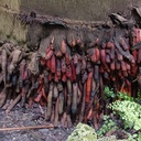 Thank you very much - Good night my Global????Family 21.07.2023 join too with your friends, families, communities, leaders and Presidents - VITAL Daily Marathon for 8B+ people to finish building Ultimate Global Peace by 2027 -  Enjoy Today's Meeting Video https://youtu.be/KAghKy16DPI<br />Podcast https://podcasters.spotify.com/pod/show/nicolae-cirpala/episodes/All-people-long-for-e276367<br /><br />Subscribe, Register: https://forms.gle/WdotQA8p4soTFMM78  Donate https://ivacademy.net/en/donate<br />& Let's Unite efforts daily 19.00 your local time in #GlobalPrayersChain for #Peace2027<br />and #PrayWithNick for:<br />- Ultimate Global Peace by 2027<br />- All countries to be restored to God by 2027<br />- For Immediate Peace in Ukraine, Congo, Ethiopia, Nigeria, Yemen, Syria, Israel, Myanmar, Palestine, Sudan, Algeria and all hot spots globally<br />- True Parents, True children, True Family and True Mother's health<br />- Healing Oceans and all Environment by 2027<br />- Humankind to plant and raise 1 billion+ trees globally by 2027<br />- South and North Korea peaceful reunification this year<br />- Global economy that benefits all nations and people to be set up worldwide by 2027<br />- All countries to stop weapons production and distribution and begin to invest in peace and in the well-being of humanity by 2027<br />- All families globally to receive God's Marriage Blessing by 2027<br />- All religions by 2027 to start to work together in unity to illuminate humankind about God our all humans Heavenly Parent and His tireless work of humans salvation behind the history, receive marriage blessing from Messiah 2nd coming and pass to all humanity<br />- Peace Road to be built globally by 2027<br />- till 2027 humankind to finish all wars and sanctions globally forever<br />- Reform health care systems for good, globally, by 2027<br />- Total Liberation of Our Heavenly Parent and ancestors in spiritual world<br />- Science and religion unity by 2027<br />- Join now new 40 days prayer, devotions and blessing condition 18.07-26.08.2023 for success of vital marriage blessing events in Europe, Africa, Asia, Americas and all True Parents peacebuilding activities globally;<br />With today's prayers effort pray for Peace & Youth, Volunteers, Internships, Ecology, Sports, Hobby and Travel Networking for #Peace2027 @Youth #GPBNet<br />Aju - Amen<br />Quotes:   The original mind of humankind leads to the world of peace<br /><br />Where does our original mind lead us? In the core of our heart, do we desire to live oppressed within the walls and boundaries that surround us? Certainly not! The world that we desire is a place where there are no artificial barriers or boundaries. It is a world of freedom and peace. All people long for that original homeland. It is the homeland that God has sought to establish for thousands of years. It is the homeland that humankind has longed for throughout history. Of course, when we talk about a homeland, a particular nation may come to mind, yet we cannot compare any nation of today’s world to the original homeland.<br /><br />To establish a nation there needs to be sovereignty, people and territory. History records the rise and fall of nations and countless transitions of sovereignties, accompanied by the sacrifice of a great many lives. Among them were countless martyrs who died in the hope that the original homeland would someday appear. The homeland these people longed for does not refer to the United States, or Korea, or any other nation. The original homeland is not a place based on democracy or communism. In it there is no need for any religion. It is a world that does not commit the folly of measuring the value of a person by the color of his or her skin. It does not allow any form of artificial boundary or national border, including the barrier that divides the mind and body within each individual. These barriers bring pain to everyone.<br /><br />Ladies and gentlemen, the planet earth is our home, and the entire globe is the homeland that humanity is longing for. For tens of thousands of years, God has longed for this homeland. Humankind has the responsibility to establish a global nation congruent with God’s values, as well as to banish evil from this earth by judging Satan, who has been the archenemy in front of heaven. This is how we will build the heavenly kingdom of peace on earth, on the foundation of goodness. Please remember always that this has been God’s desire, Jesus’ desire, and the desire of our ancestors who walked the path of martyrdom in the course of God’s providence.<br /><br />SEND YOUR PRAYERS REQUESTS and<br />Join in Your Favorite Networks:<br />https://instagram.com/HAPPY_TV_NEWS<br />https://Twitter.com/cirpalanicolae<br />https://FACEBOOK.com/nicolaecirpala<br />https://Youtube.com/c/HAPPYTVNEWS<br />https://t.me/GPBNet<br />or https://Linkedin.com/in/nicolaecirpala<br />For Cooperation, Consultation or Presentations and more contact<br />Prophet Nicolae Cirpala +79811308385 Tel WhatsApp<br />In the memory of Daniil, year around Famous drawing Contest for #Peace2027 is held, and as Daniil has been drawing #PeacePictures in last days, we invite you to donate today to the Daniil Foundation to support him https://ivacademy.net/en/donate Important<br /><br />Please SHARE this information wide to enable all 8B+ people to participate and complete ultimate global peace building by 2027 ok?